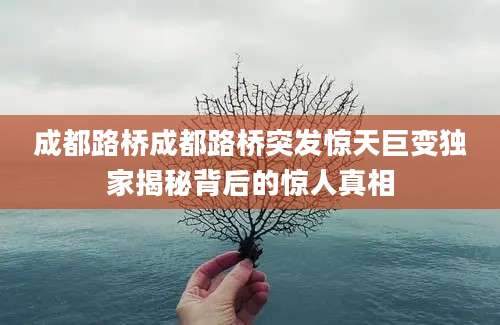 成都路桥成都路桥突发惊天巨变独家揭秘背后的惊人真相