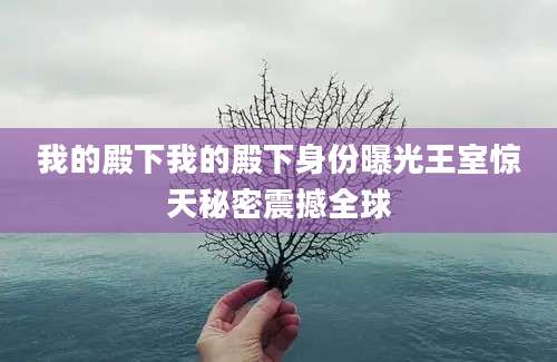 我的殿下我的殿下身份曝光王室惊天秘密震撼全球