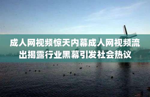 成人网视频惊天内幕成人网视频流出揭露行业黑幕引发社会热议