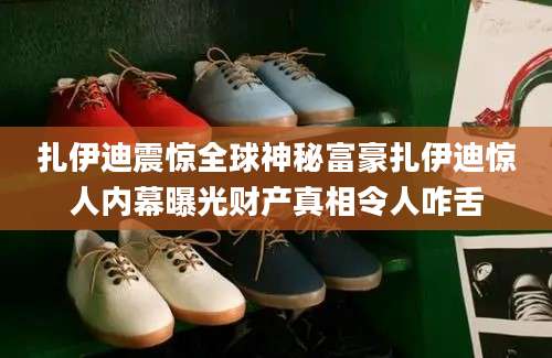扎伊迪震惊全球神秘富豪扎伊迪惊人内幕曝光财产真相令人咋舌