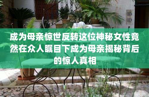 成为母亲惊世反转这位神秘女性竟然在众人瞩目下成为母亲揭秘背后的惊人真相
