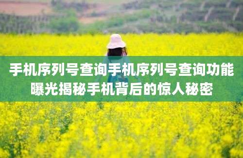 手机序列号查询手机序列号查询功能曝光揭秘手机背后的惊人秘密