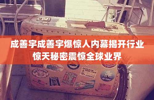 成善宇成善宇爆惊人内幕揭开行业惊天秘密震惊全球业界