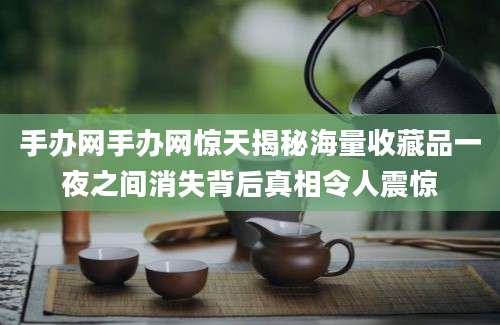 手办网手办网惊天揭秘海量收藏品一夜之间消失背后真相令人震惊