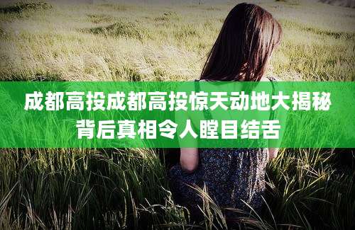 成都高投成都高投惊天动地大揭秘背后真相令人瞠目结舌