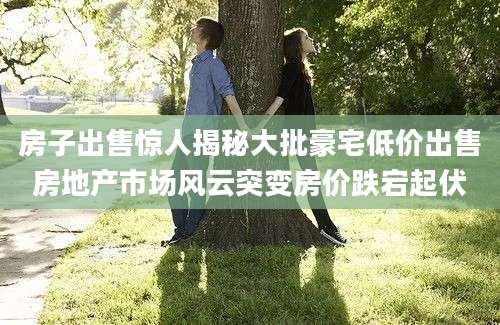 房子出售惊人揭秘大批豪宅低价出售房地产市场风云突变房价跌宕起伏
