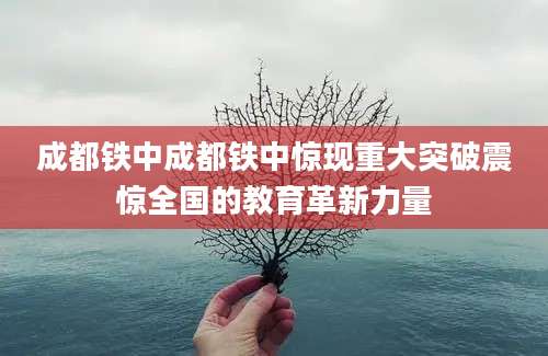 成都铁中成都铁中惊现重大突破震惊全国的教育革新力量
