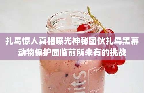 扎鸟惊人真相曝光神秘团伙扎鸟黑幕动物保护面临前所未有的挑战