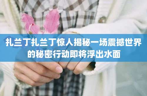 扎兰丁扎兰丁惊人揭秘一场震撼世界的秘密行动即将浮出水面