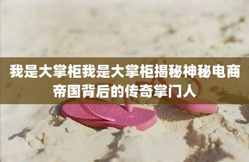 我是大掌柜我是大掌柜揭秘神秘电商帝国背后的传奇掌门人