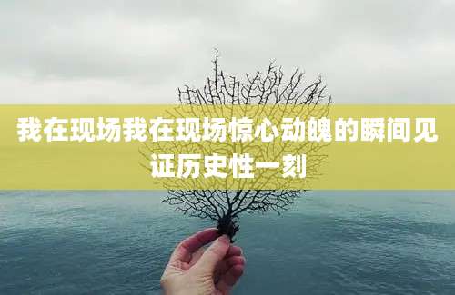 我在现场我在现场惊心动魄的瞬间见证历史性一刻